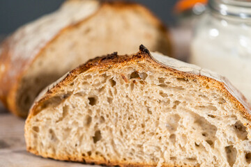 Sourdough starter