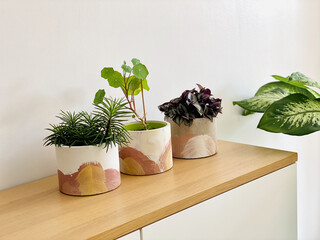 Concrete handpainted planters with indoor plants in it