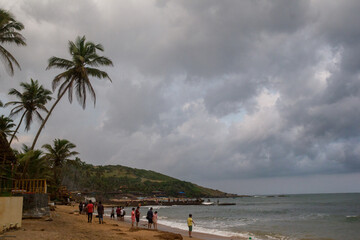 beach with coconut trees