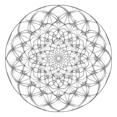 Mandala vektor illustrations 