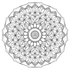 Mandala vektor illustrations 