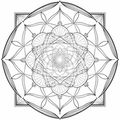 Mandala vektor illustrations 