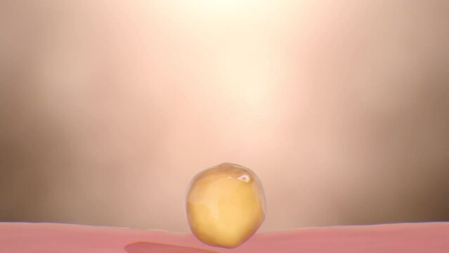 3D rendering and animation of anti-aging to reduce and repair wrinkle saggy skin cell conceptual.Vitamin drop to skin then skin bright and cell smooth refresh. 