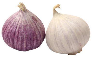 Obraz premium Solo or single clove garlic
