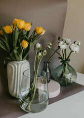 A collection of vases with yellow and white flowers on a table. Tulips and ranunculuses 