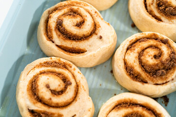 Cinnamon rolls