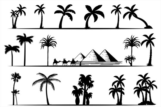 Palm trees and desert silhouettes set in monochrome style isolated vector illustration