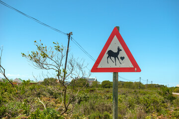 Beware of fawns road sign, South Africa
