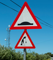 Beware of penguins road sign, South Africa