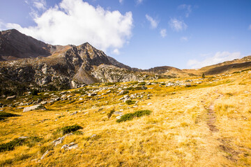 Mountain landscape in Campcardos valley, Pyrenees, France