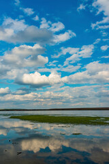 Obraz premium Reflection of white storm clouds in the water of the Tiligul estuary, Ukraine
