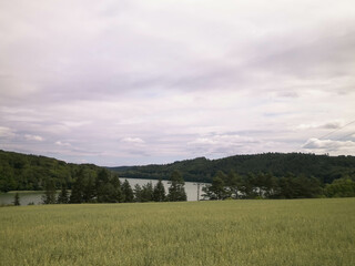 Fototapeta premium Field and Ostrzyckie Lake in a background. Nature of Wiezyca, Poland.