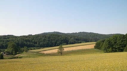 Hills, fields and meadows - beautiful landscape of Wiezyca.