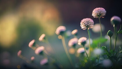  a close up of a bunch of flowers with a blurry background of grass and flowers in the foreground, with a blurry background of grass and flowers in the foreground.  generative ai