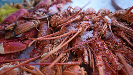 Sea food for sale. Lobsters and shrimps on display at food market