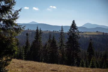 Autumn mountain landscape on a sunny day