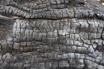 texture burned wood charcoal