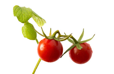 Cherry Tomato isolated by background