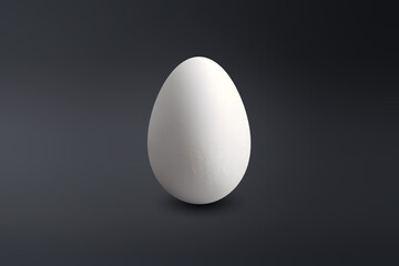 white egg  on a dark floor
