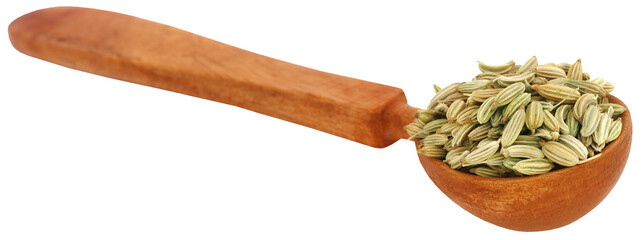 Fennel seeds in a wooden spoon