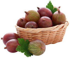 Fresh ripe gooseberry