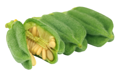 Green sesame pods
