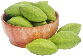 Fresh green medicinal haritaki