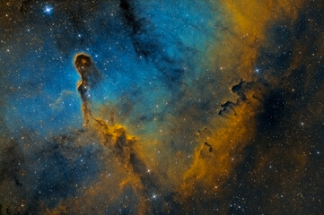 The elephant trunk nebula shot with narrowband filters.