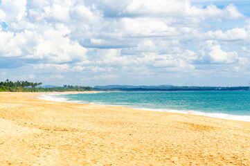 Beautiful tropical landscape. Sandy ocean shore. Beautiful texture background for tourism, design...