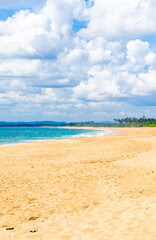 Beautiful tropical landscape. Sandy ocean shore. Beautiful texture background for tourism, design and advertising