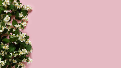 Beautiful flower arrangement. mockup. White jasmine flowers, free space for text on light pastel...