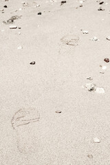 Beautiful footprints in the sand sea nature background
