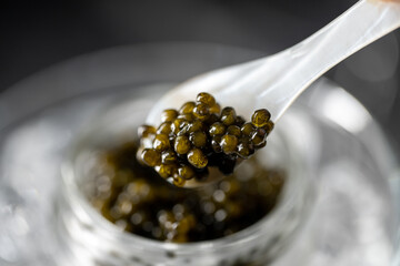 black caviar on ice with pearl spoon - obrazy, fototapety, plakaty