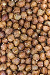 Fresh raw hazelnuts