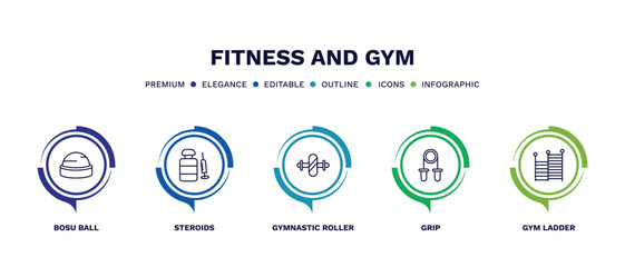 set of fitness and gym thin line icons. fitness and gym outline icons with infographic template. linear icons such as bosu ball, steroids, gymnastic roller, grip, gym ladder vector.
