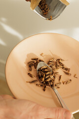 Spoonful of cooked insects - a sustainable, protein-rich food source for the future. Highlights trend of insect consumption as an edible dish. Future as the planet faces food shortages