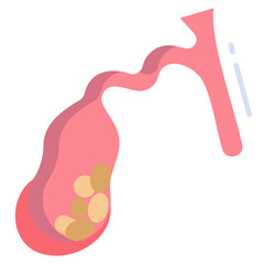 gallbladder disease icon