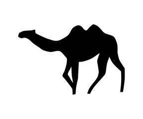 Camel icon silhouette isolated on white background. Camel vector illustration for web and app