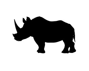 Obraz na płótnie Canvas Rhinoceros silhouette isolated