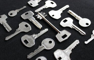 Variety types of metal keys laid out in order isolated on black angle view
