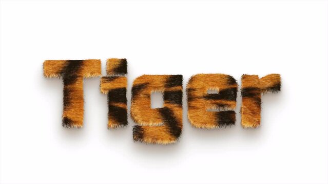 TIGER FUR TEXT WIND ANIMATION 4K