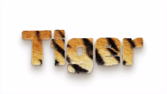 TIGER FUR TEXT WIND ANIMATION 4K