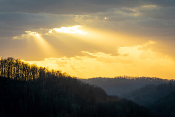 Obraz na płótnie Canvas Yellow sun rays shining through dark clouds over forest silhouette