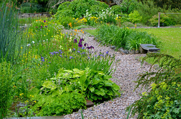 żwirowa ścieżka w ogrodzie, rośliny przy ścieżce w wiejskim ogrodzie, żwirowa alejka, garden...