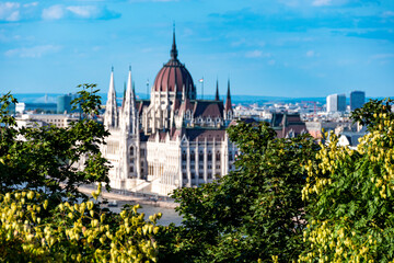 Fototapeta na wymiar The hungarian Parlament in summer afternoon, Budapest, Hungary