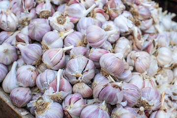 Garlic heads close up. Street food market. Alternative medicine. Source of vitamin C