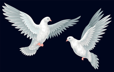 Fototapeta na wymiar Beautiful white doves. Poster with two birds symbolizing peace and kindness. Design element for card, invitation and social network. Cartoon realistic vector illustration isolated on black background