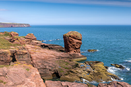 Deil's Heid (Devil's Head) Red sandstone sea stack at the cliffs to the north of Arbroath on the east coast of Scotland.
