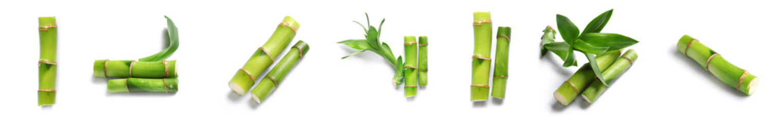 Set of green bamboo isolated on white