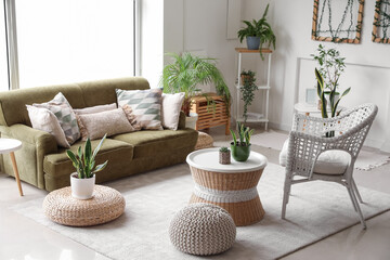 Interior of cozy living room with green sofa, armchair and houseplants